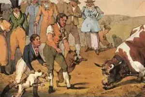 Dibujo de la pelea de unos pitbulls terrier contra un toro